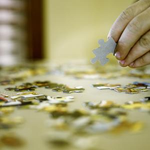 Putting Puzzles Together